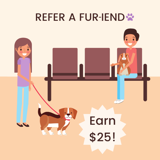 refer a fur-iend to earn $25