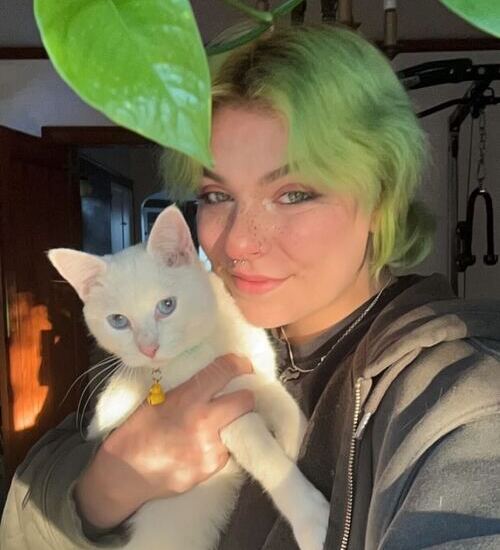 Darbi